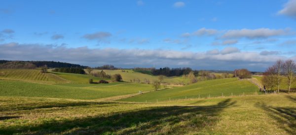 Investing in Rural Real Estate