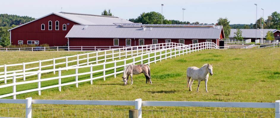 6 Ways To Make The Most Of Your Equestrian Property Investment