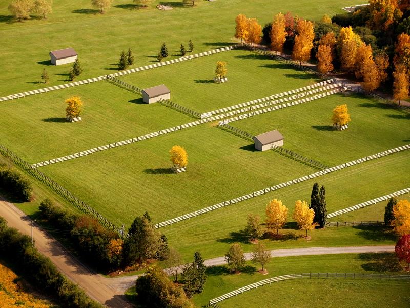 Ideal Horse Farm Layout For Every Acreage