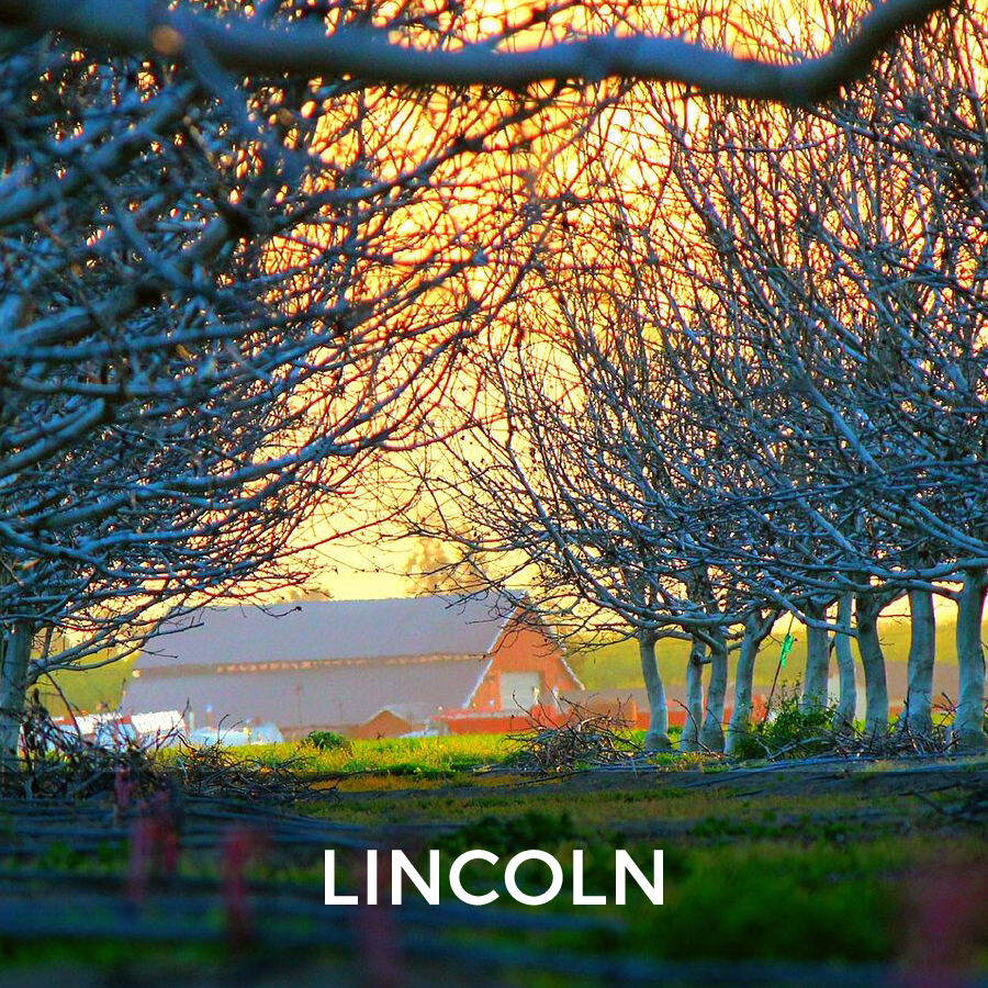 Niagara Region Real Estate - Lincoln