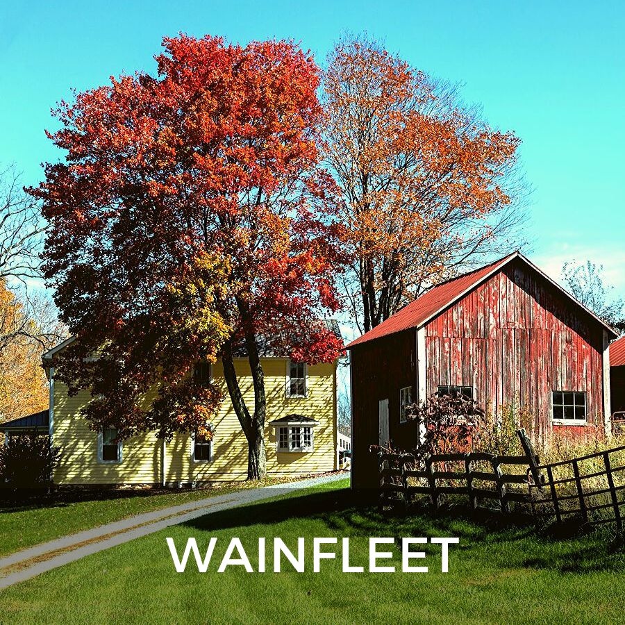 Niagara Region Real Estate - Wainfleet