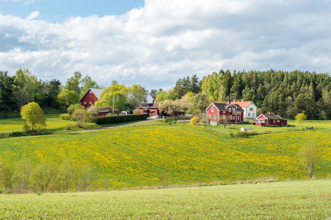 Caledon Farm