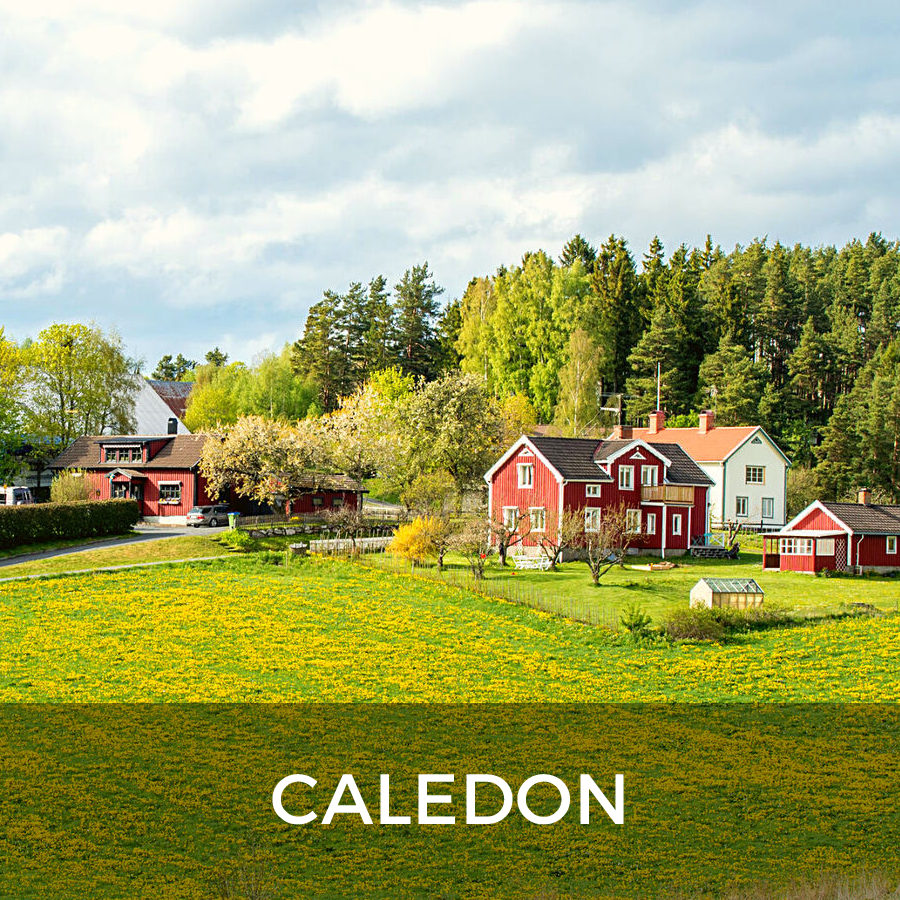 Caledon rural farm for sale