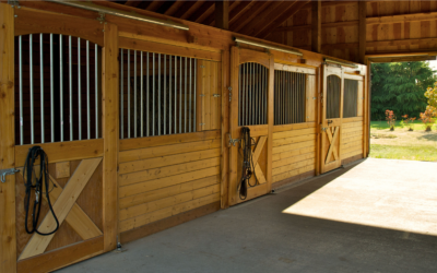 What Does It Cost to Build an Equestrian Facility?