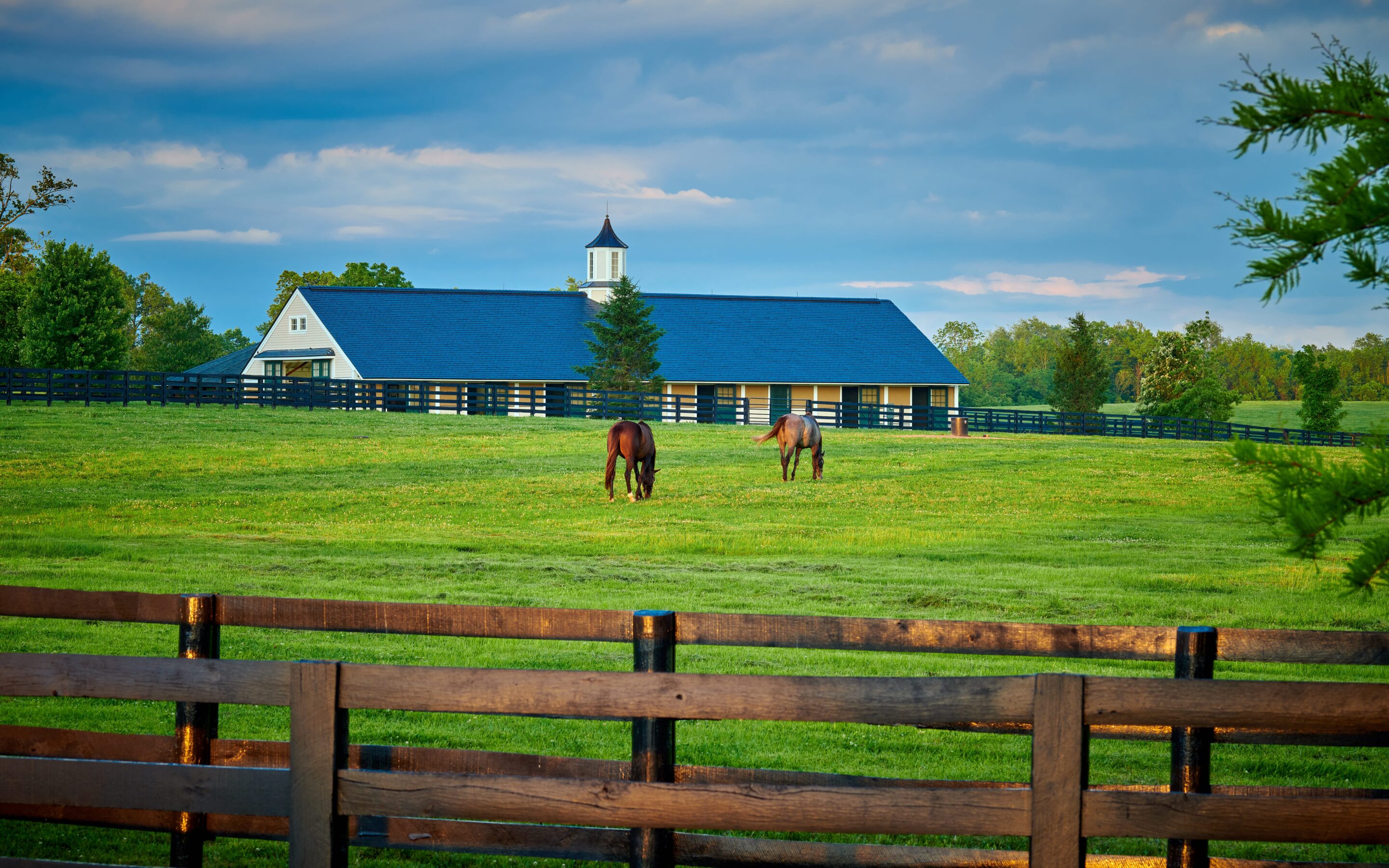 5 Factors Affecting Horse Farm Prices in Ontario