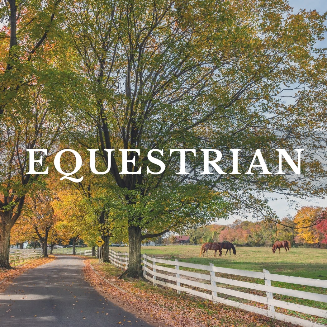 Equestrian Listings