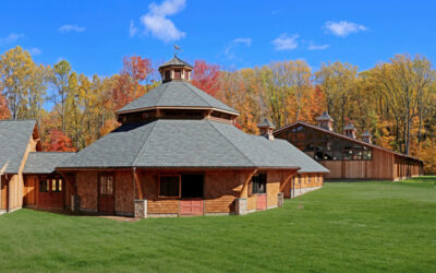 Our Favourite Horse Barn Designs