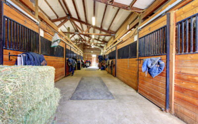 Renters: Before You Lease A Horse Barn