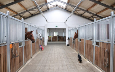 6 Common Questions About Leasing An Equestrian Facility