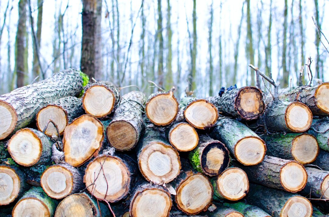 Tree Cutting