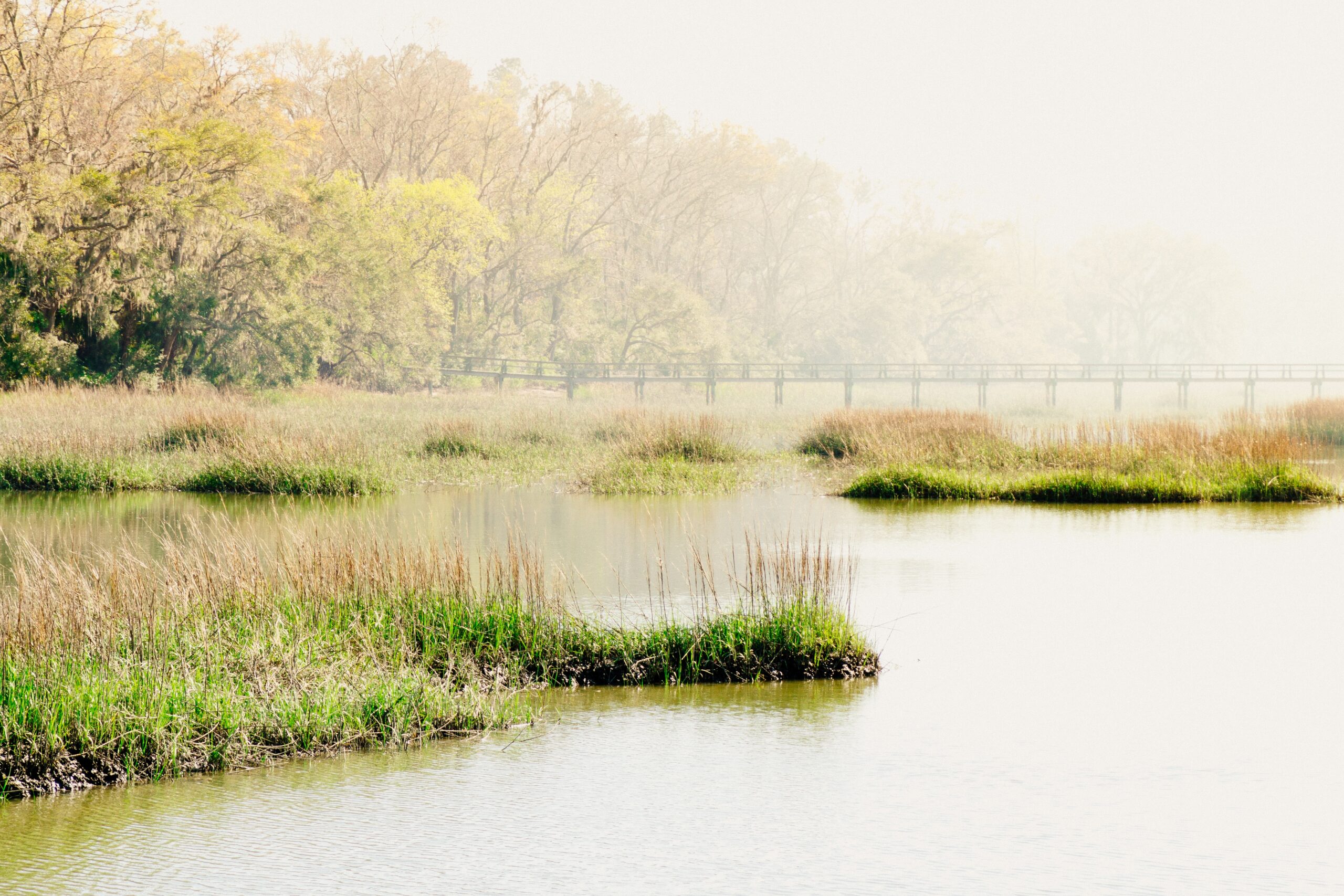 Wetland Conservation