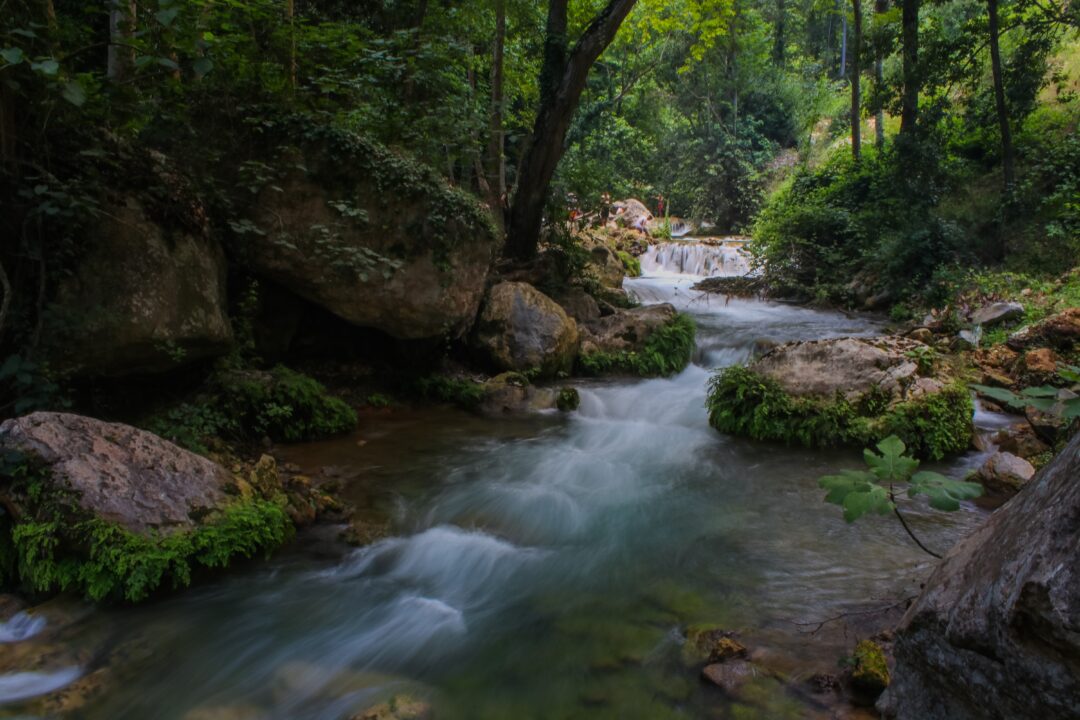 Nature Reserve