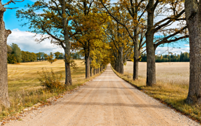 Current Rural Home Market Conditions in the Greater Golden Horseshoe