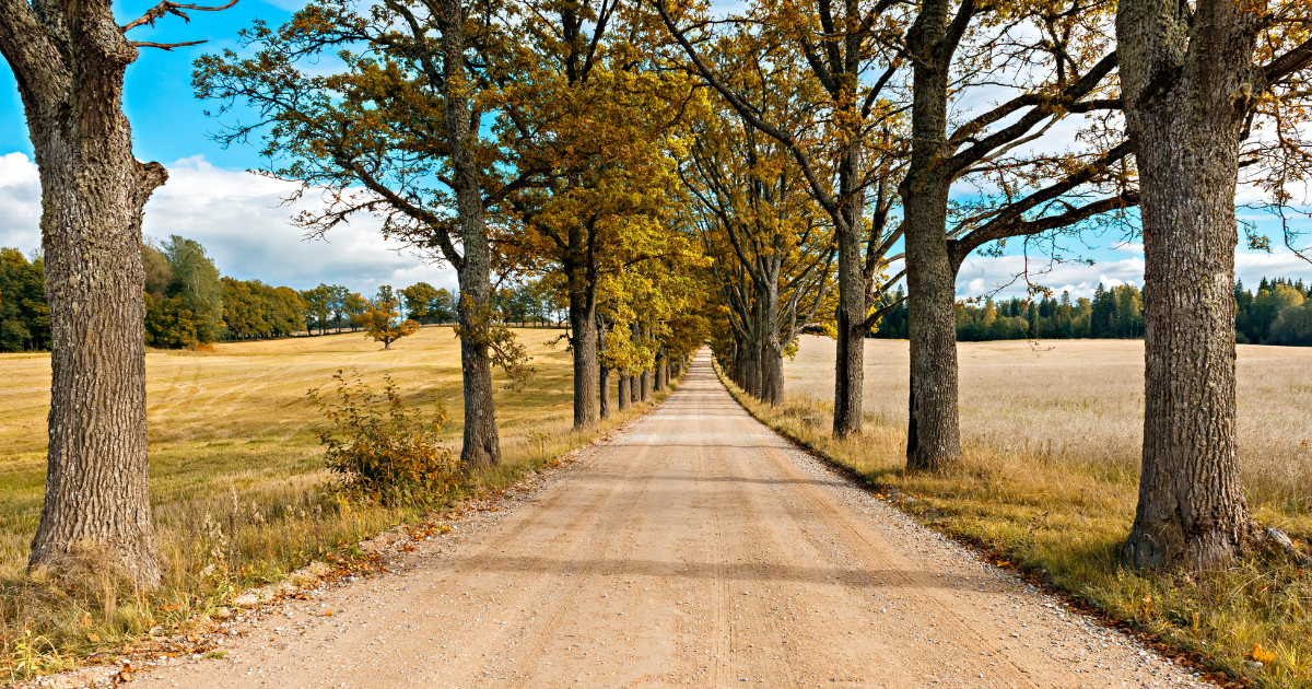 Current Rural Home Market Conditions in the Greater Golden Horseshoe